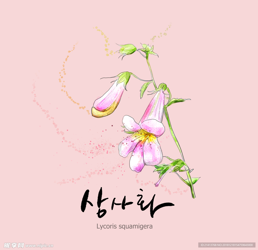 手绘花卉素材