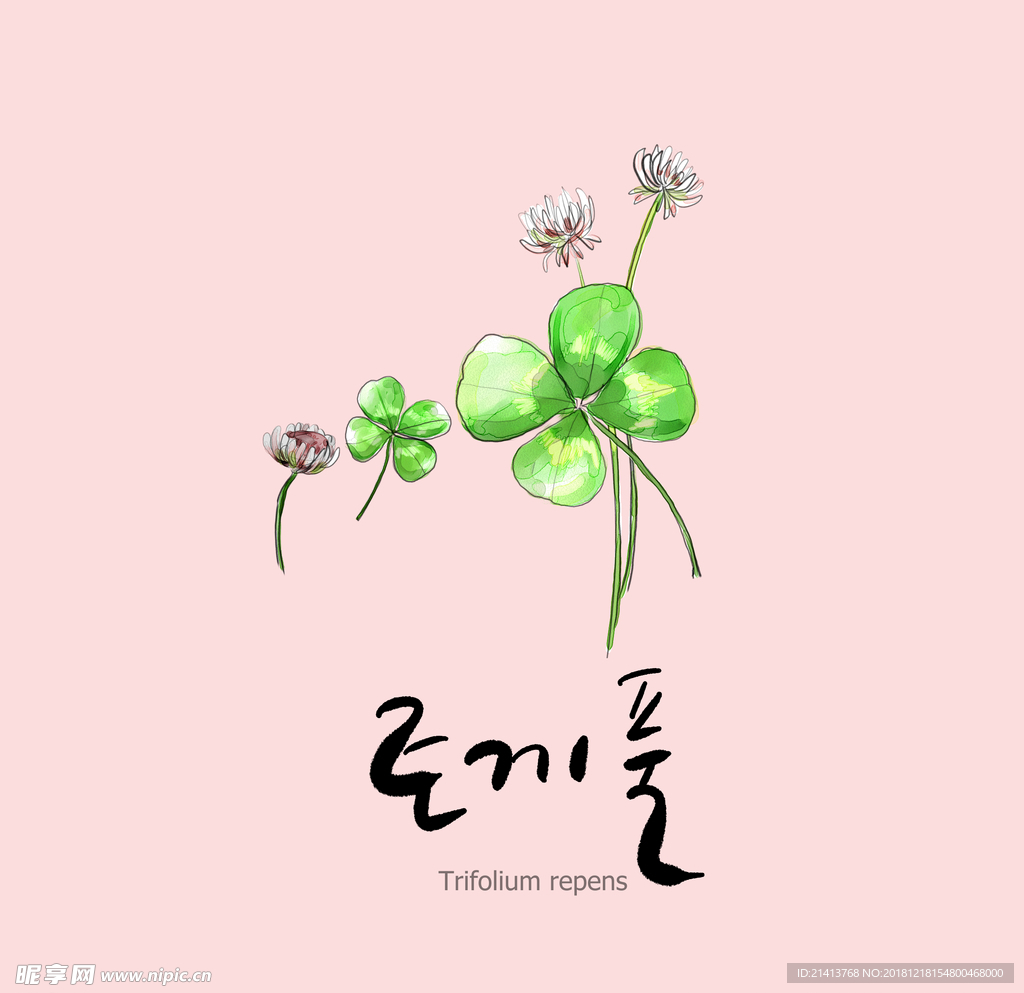 手绘花卉素材