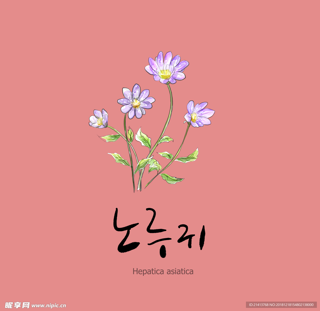 手绘花卉素材
