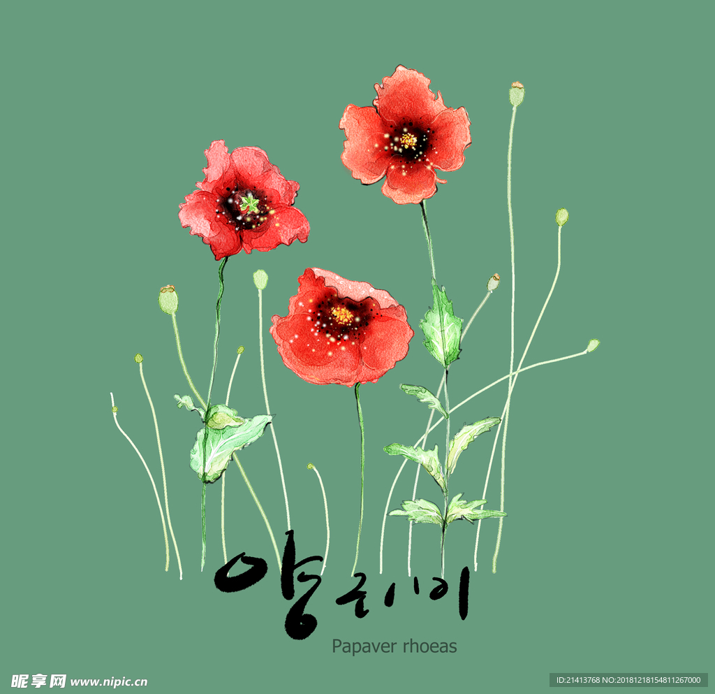 手绘花卉素材