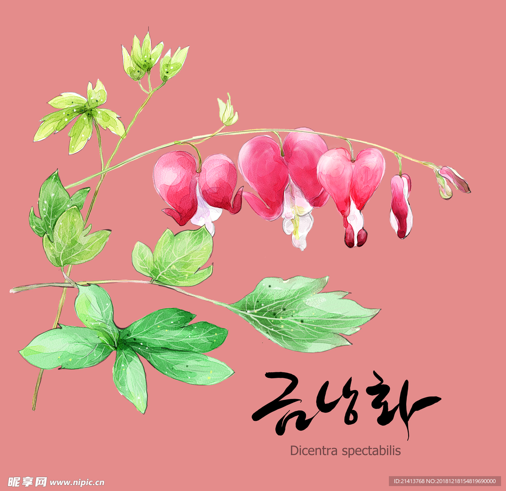 手绘花卉素材