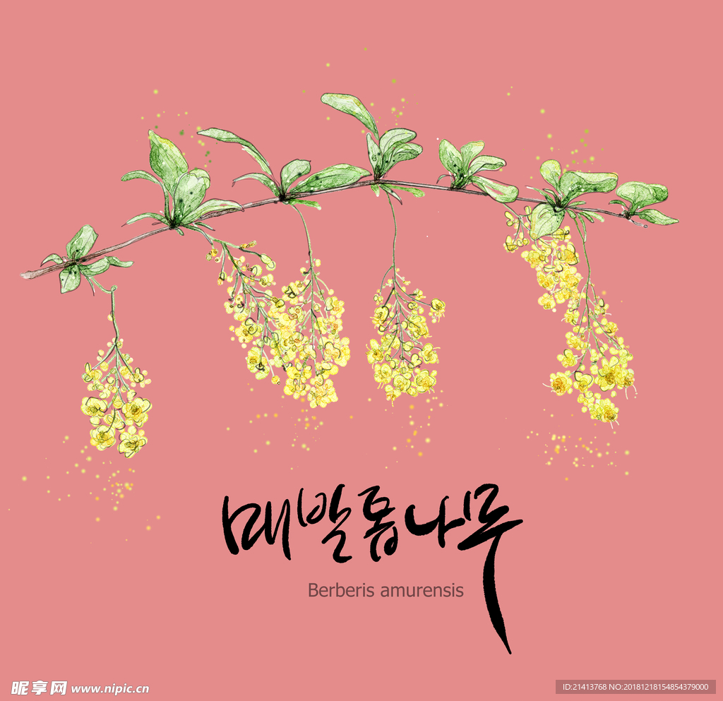 手绘花卉素材