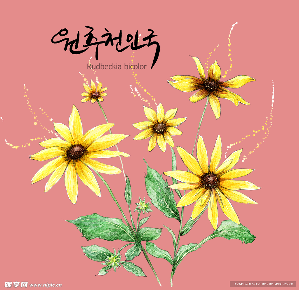 手绘花卉素材