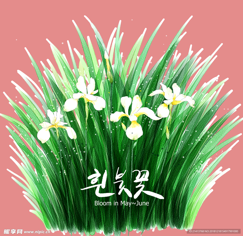 手绘花卉素材