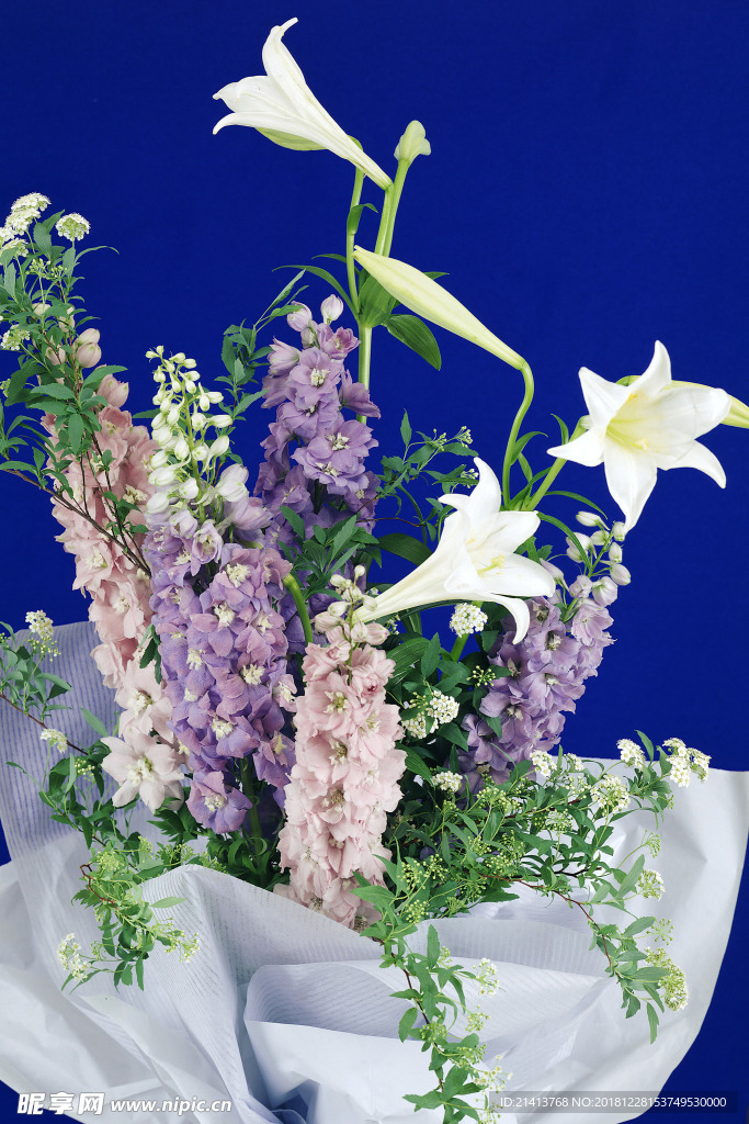 鲜花花朵花卉