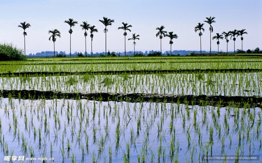 山水风景