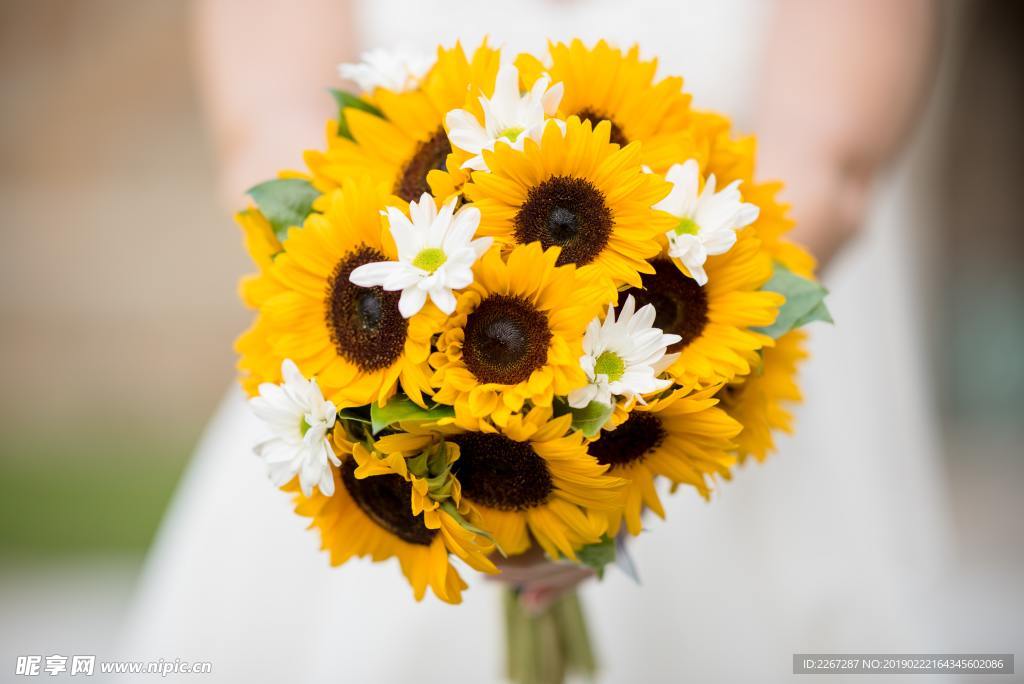 向日葵捧花