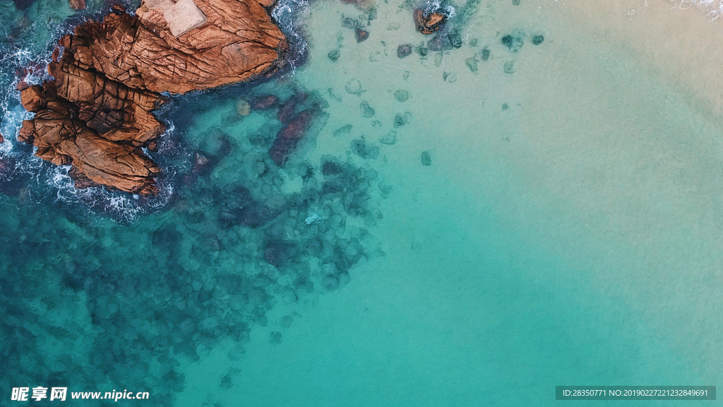 海