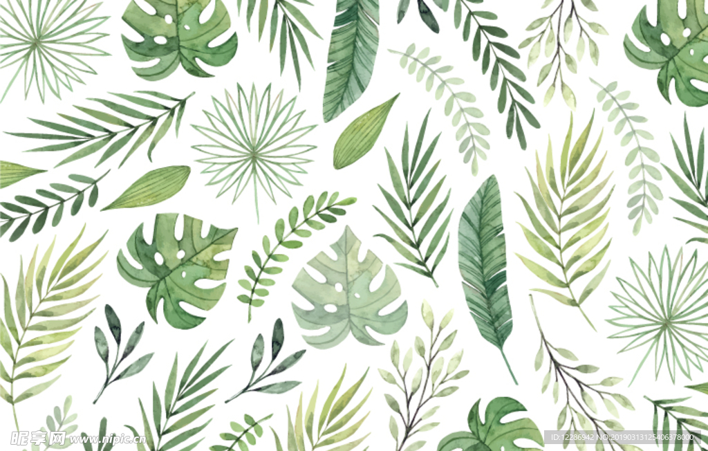 绿色植物花朵花卉树叶手绘背景