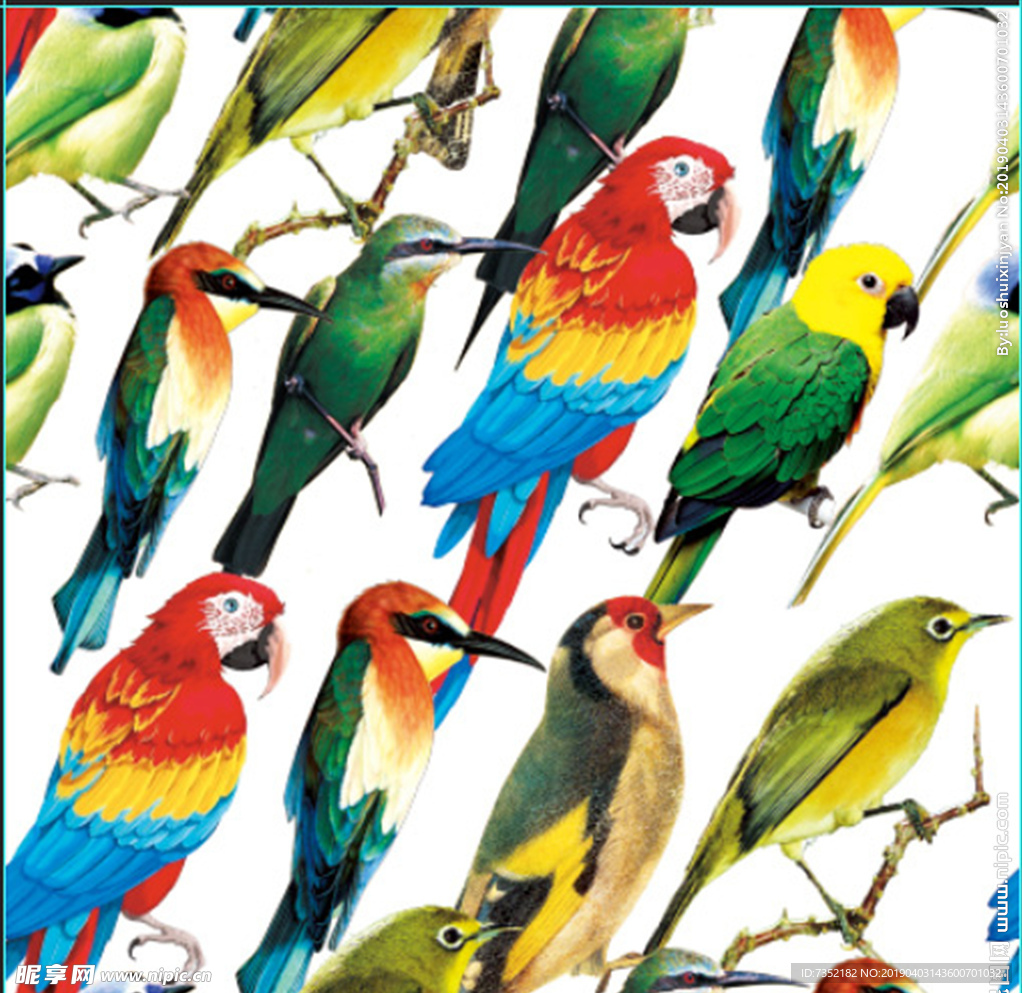 鸟 四方连续 手绘 印花