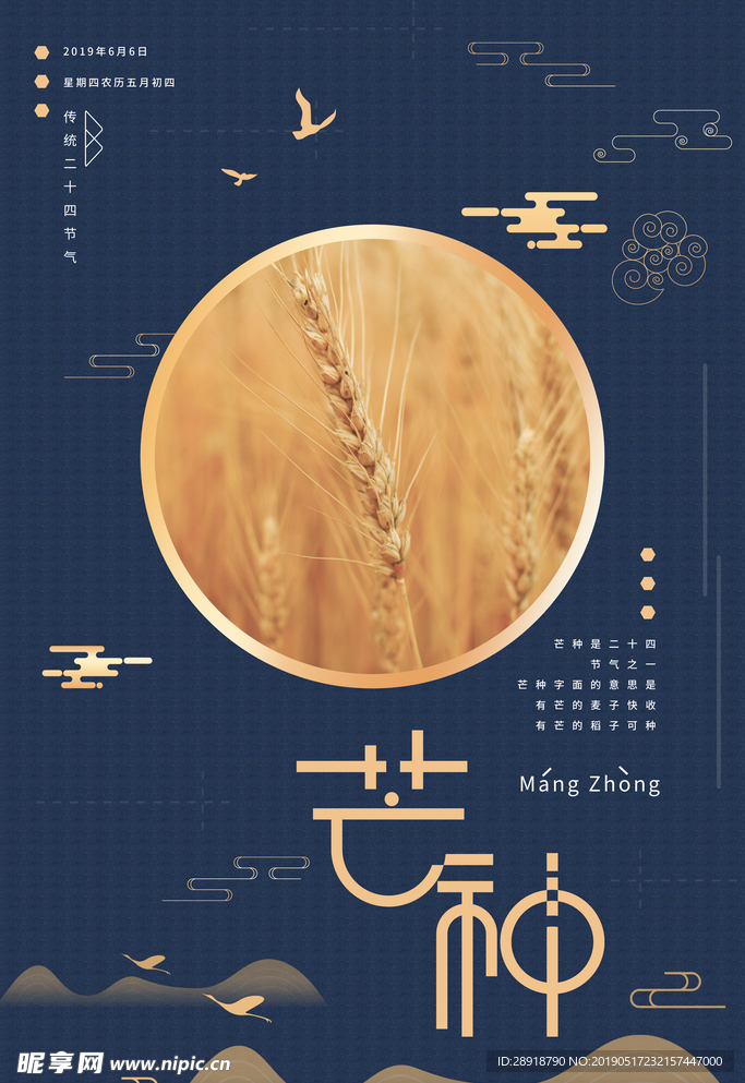 芒种节气