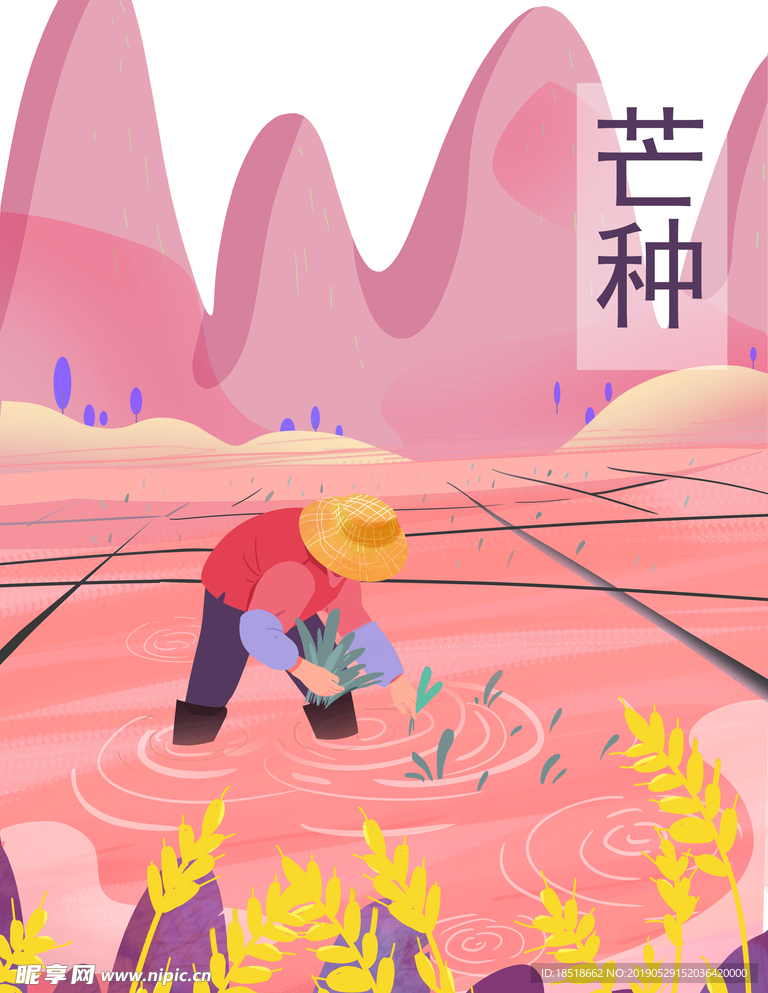 芒种 二十四节气 24节气 节