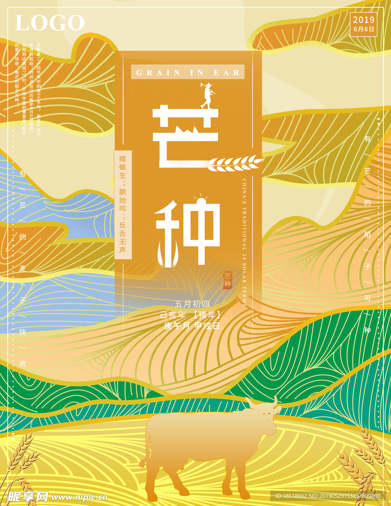 芒种 二十四节气 24节气 节