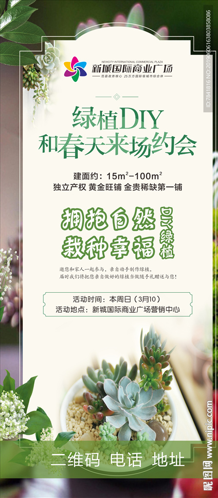 多肉 肉多 绿植