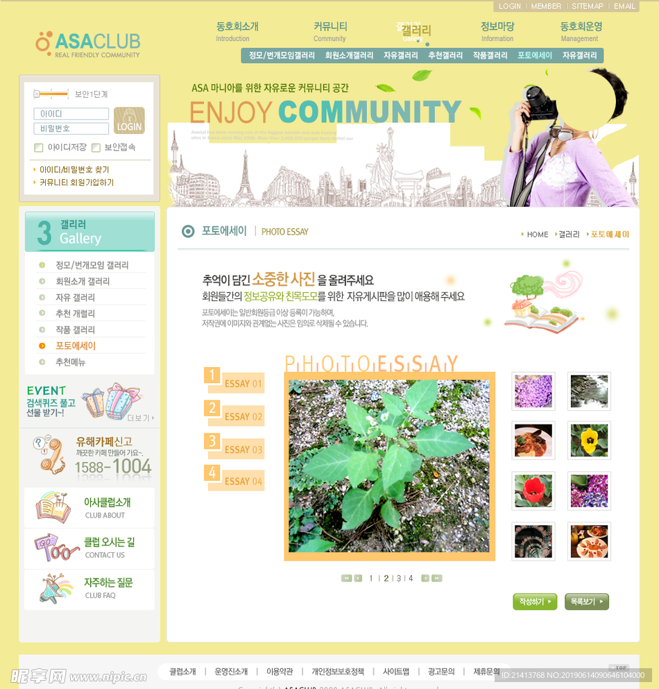 网站网页设计