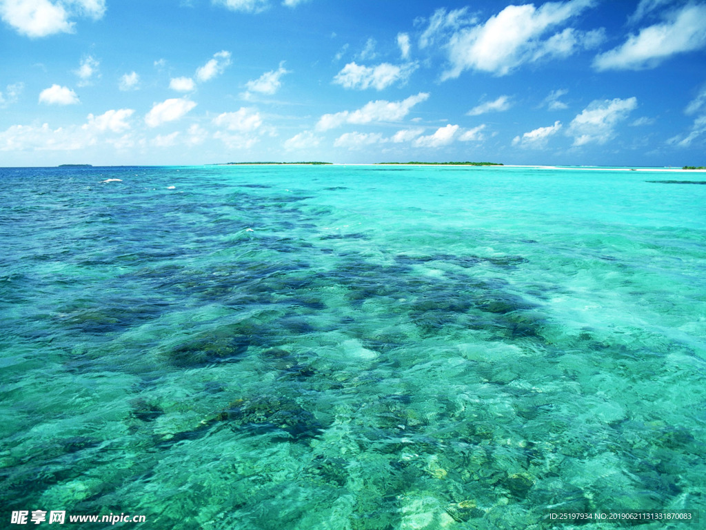 海水