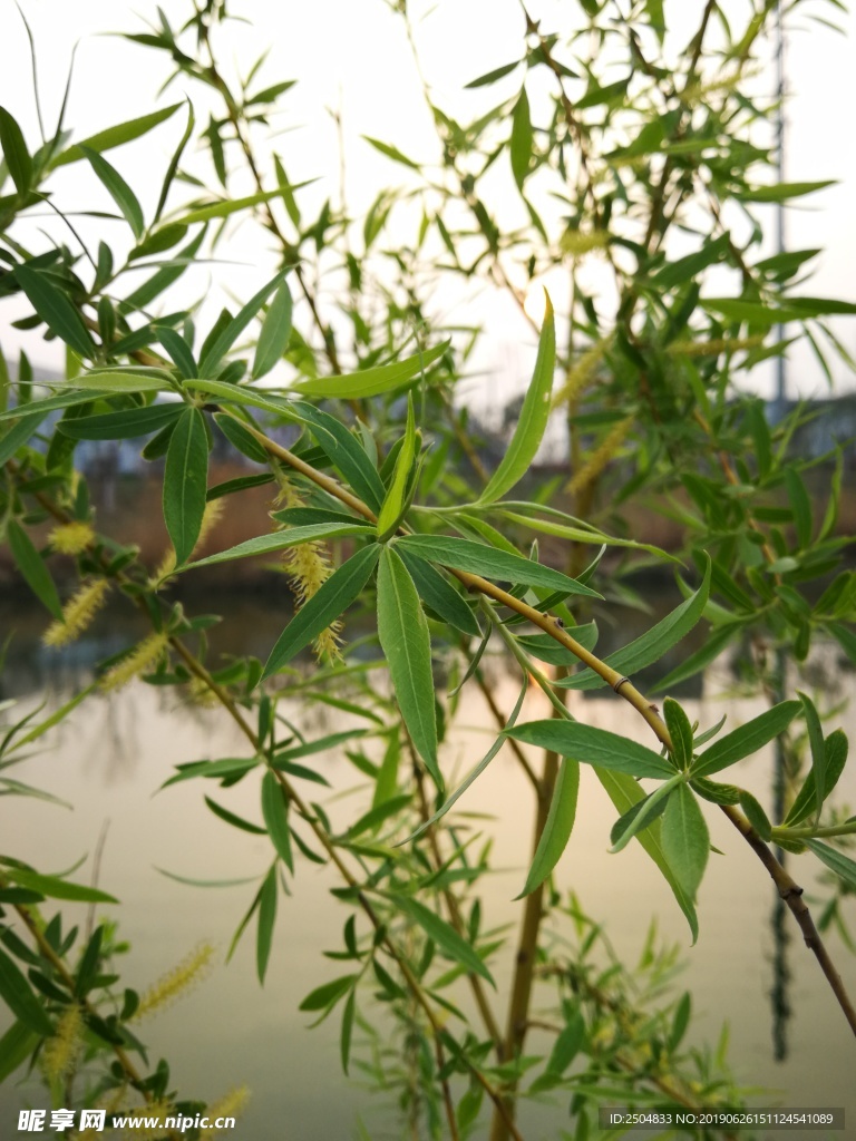 风景