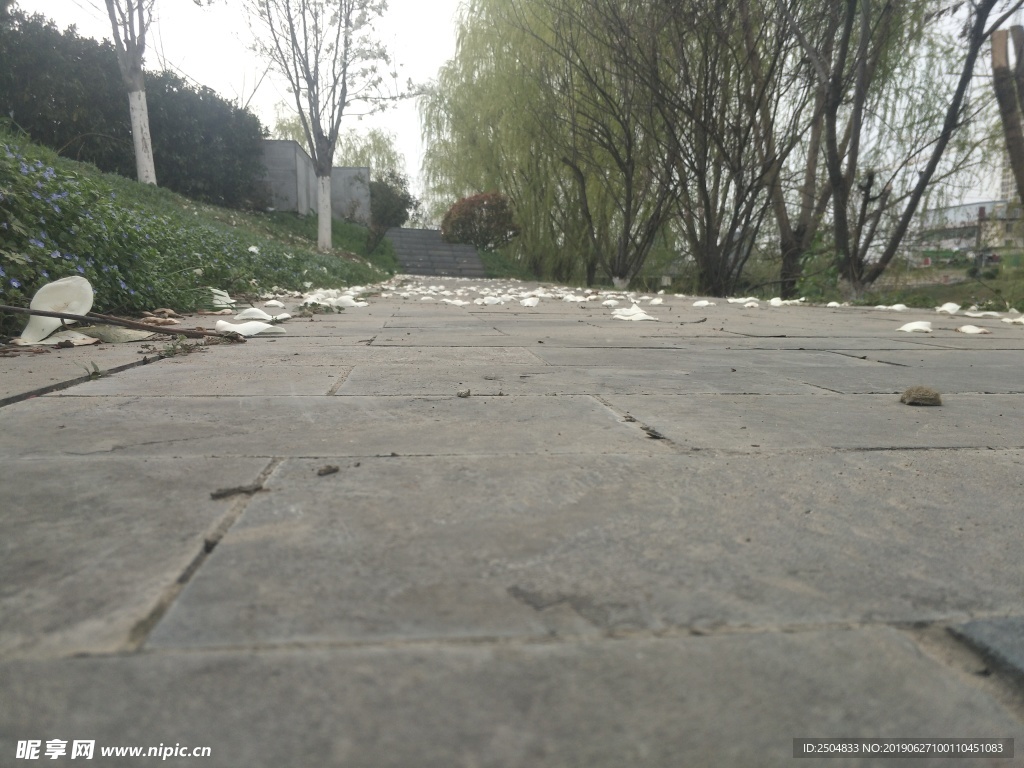 风景