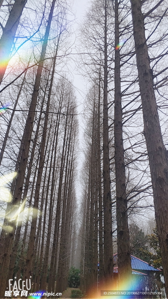 风景