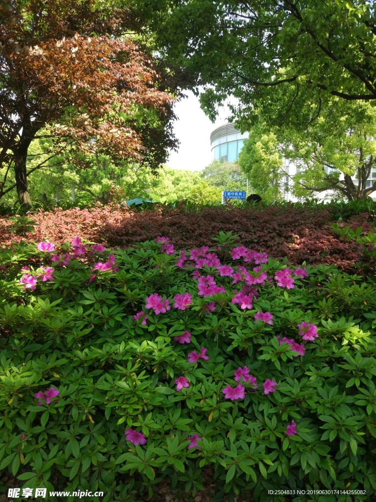 风景