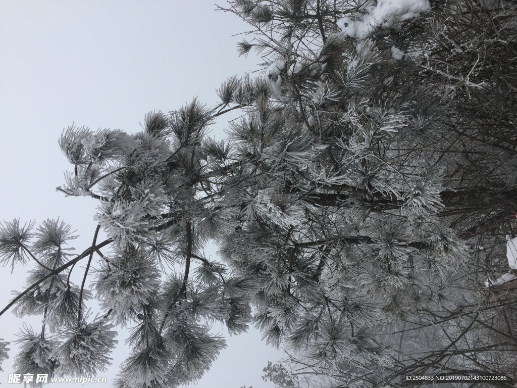 风景