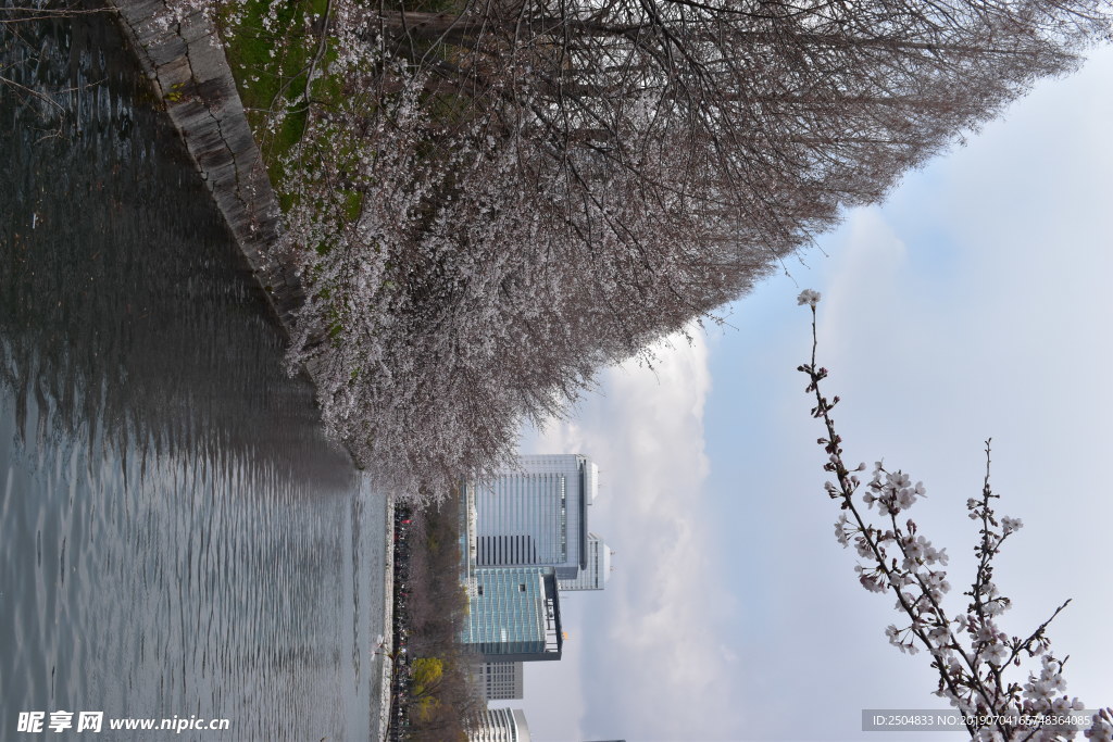 风景