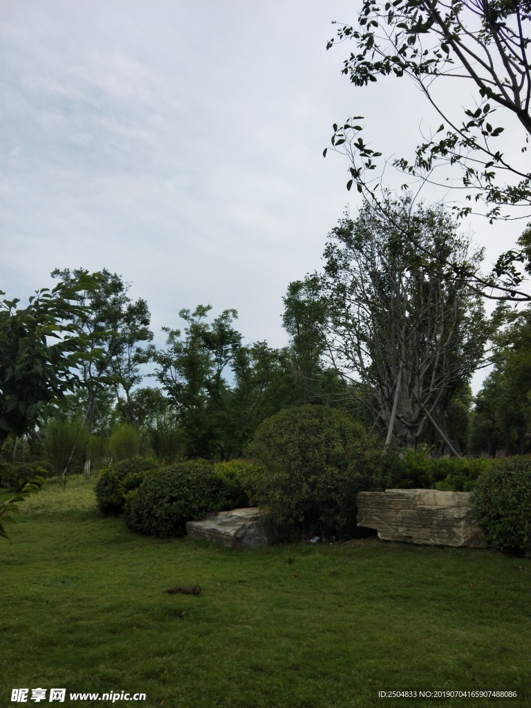 风景