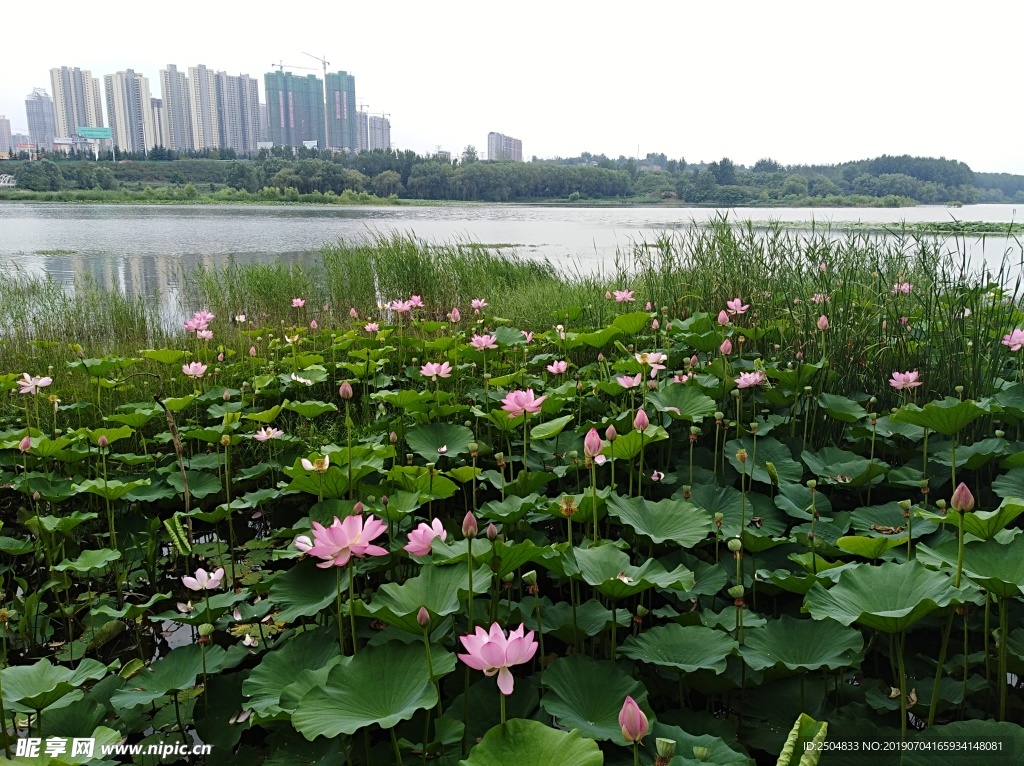 风景