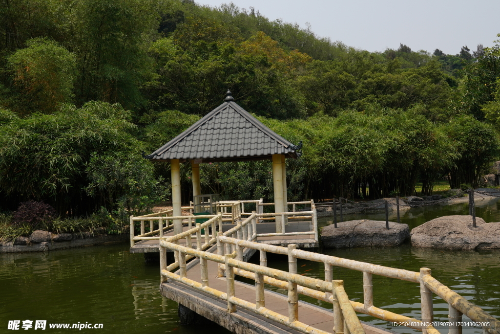风景