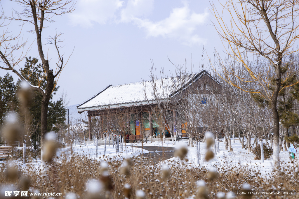 风景