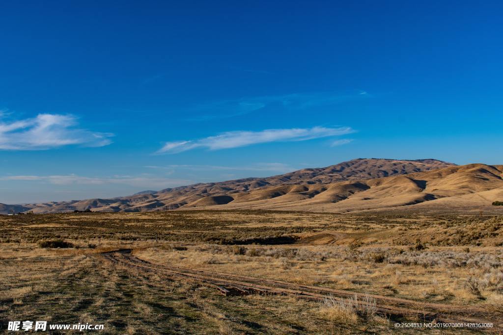 风景
