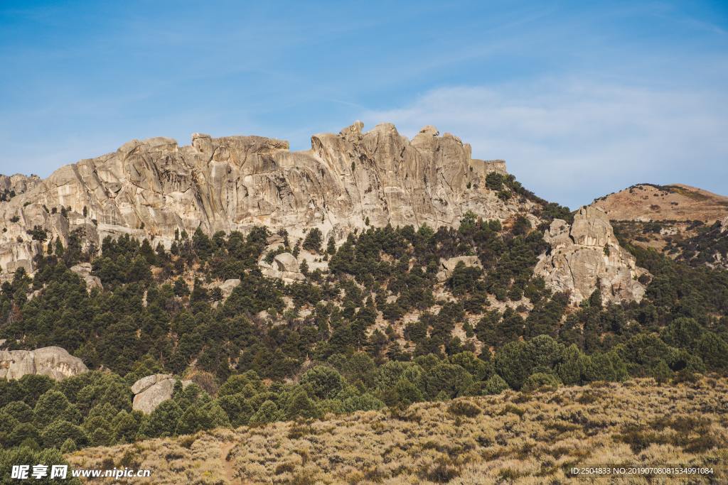 风景
