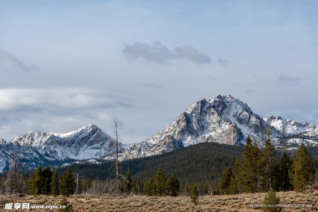 风景