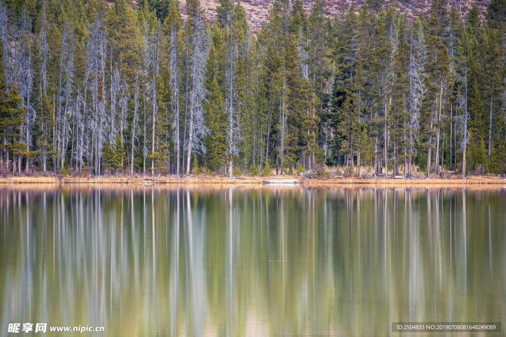 风景