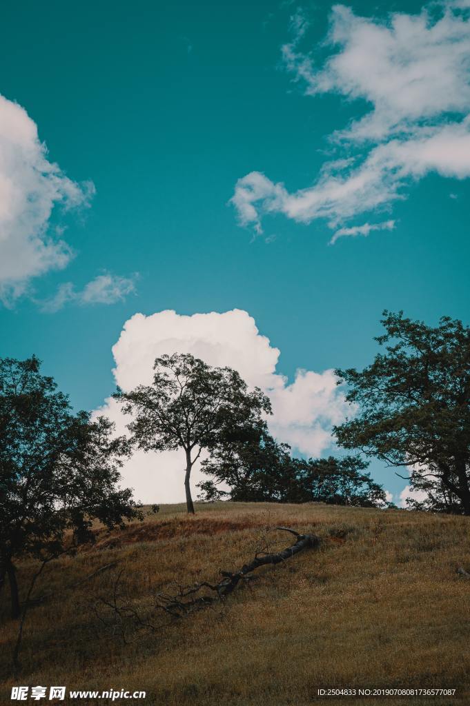 风景