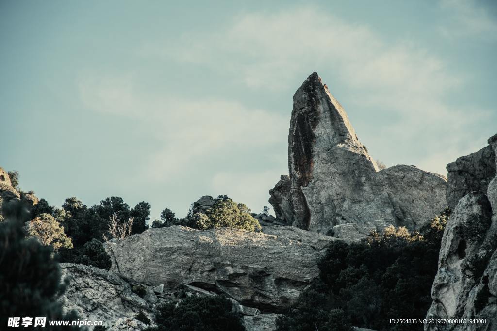 风景