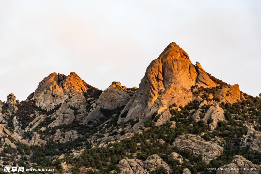 风景