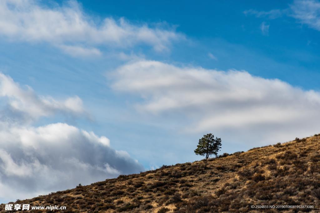 风景