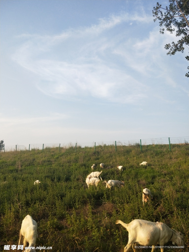 风景