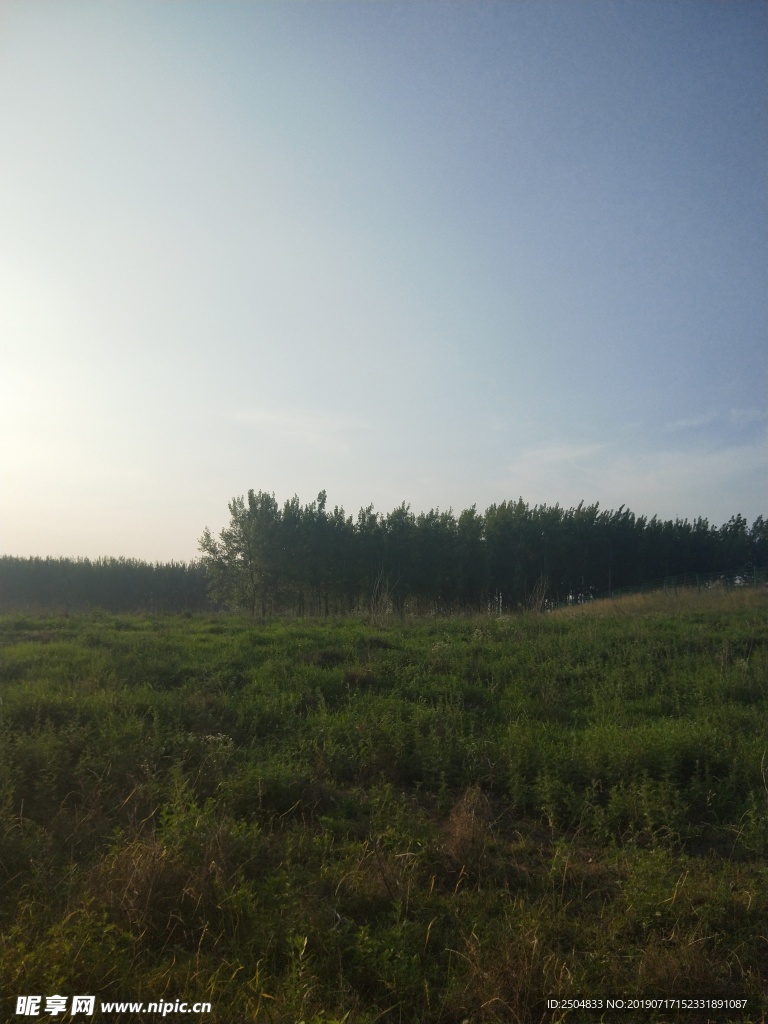 风景