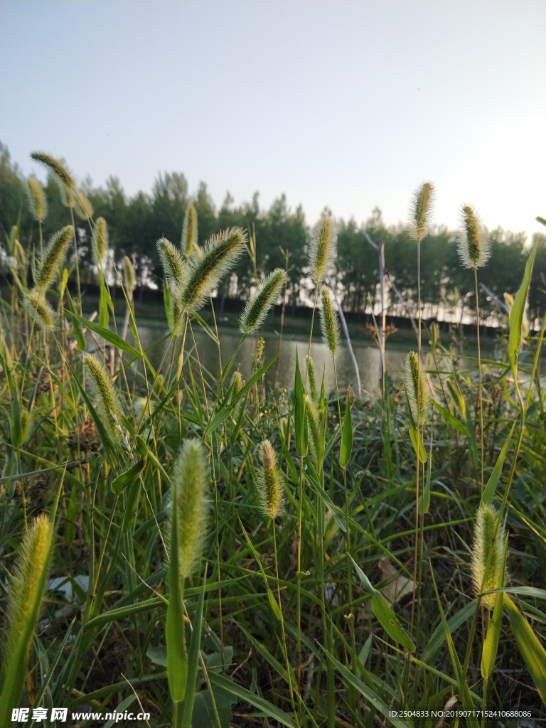 风景