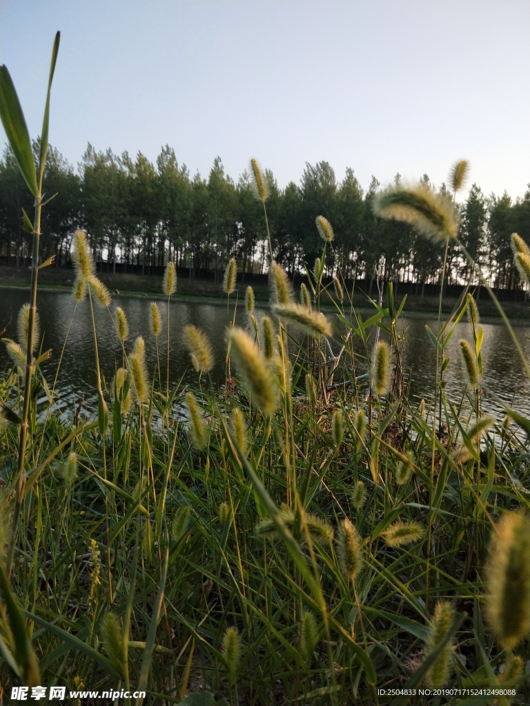 风景