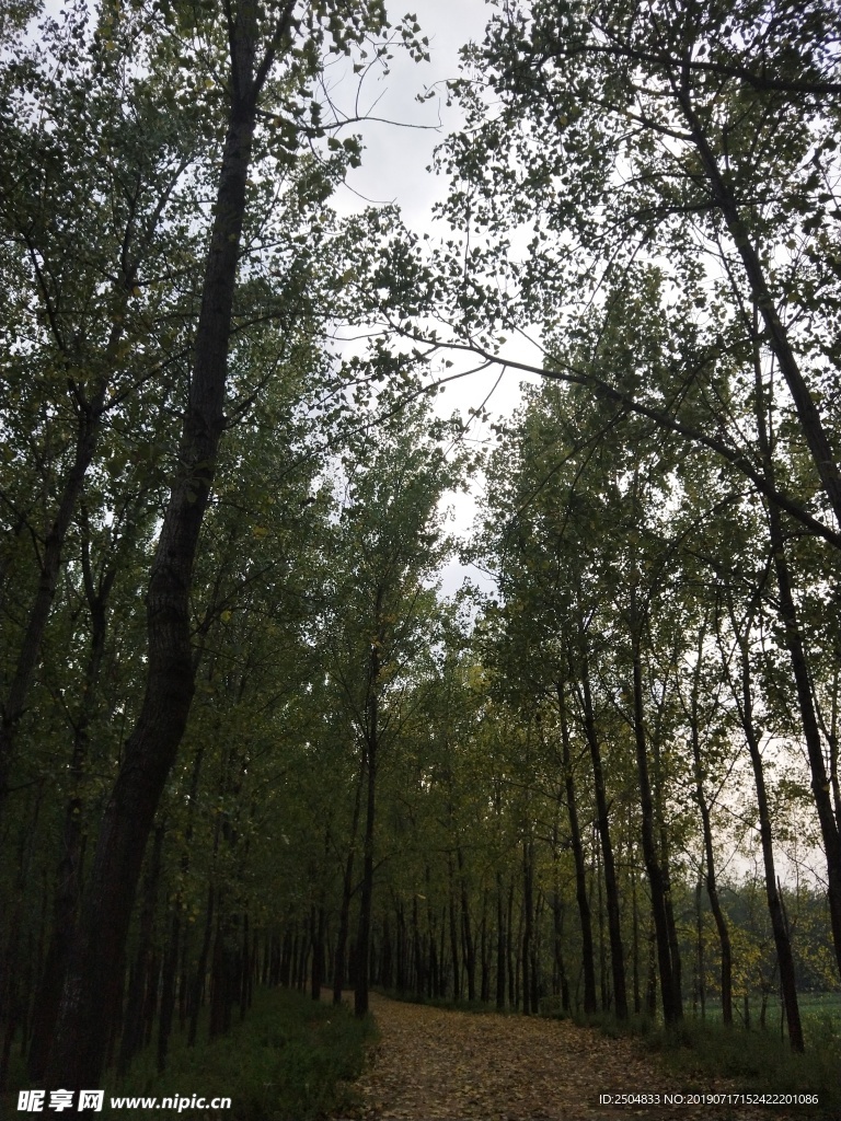风景