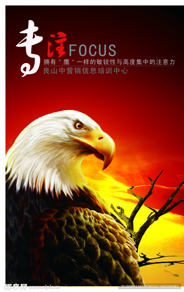 公司文化