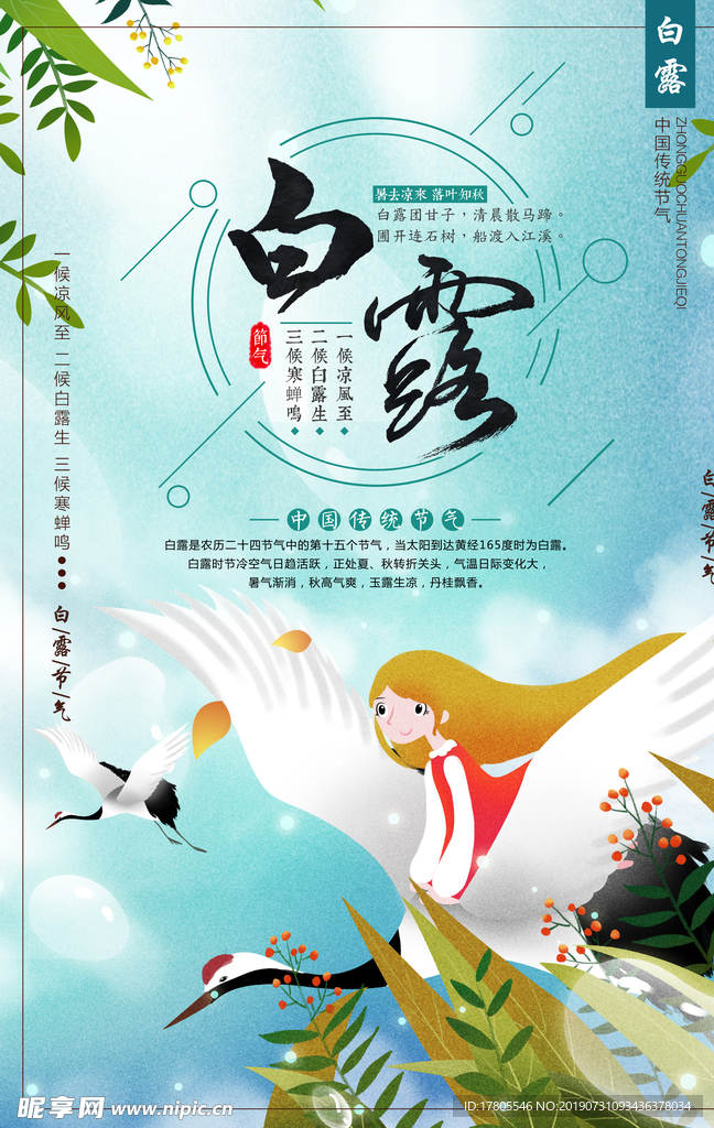 白露海报 白露素材 白露节气