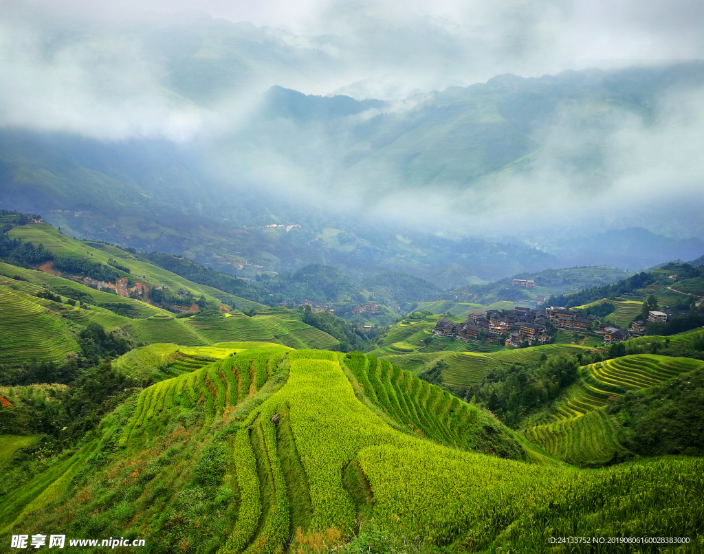 龙脊梯田