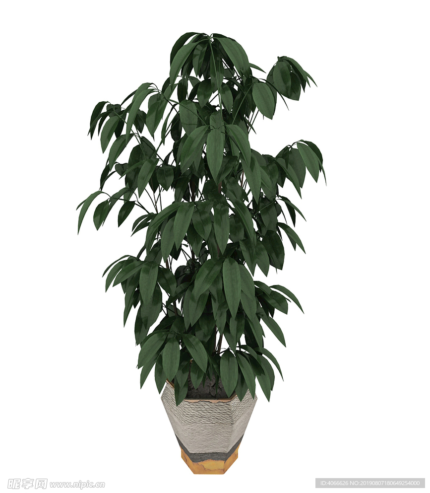 大植物3d模型
