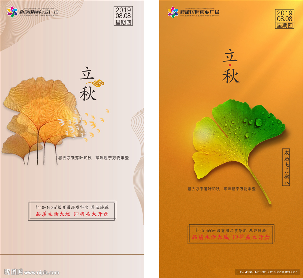 立秋 地产立秋 杏叶 秋季