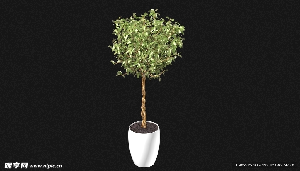 高大植物3d模型