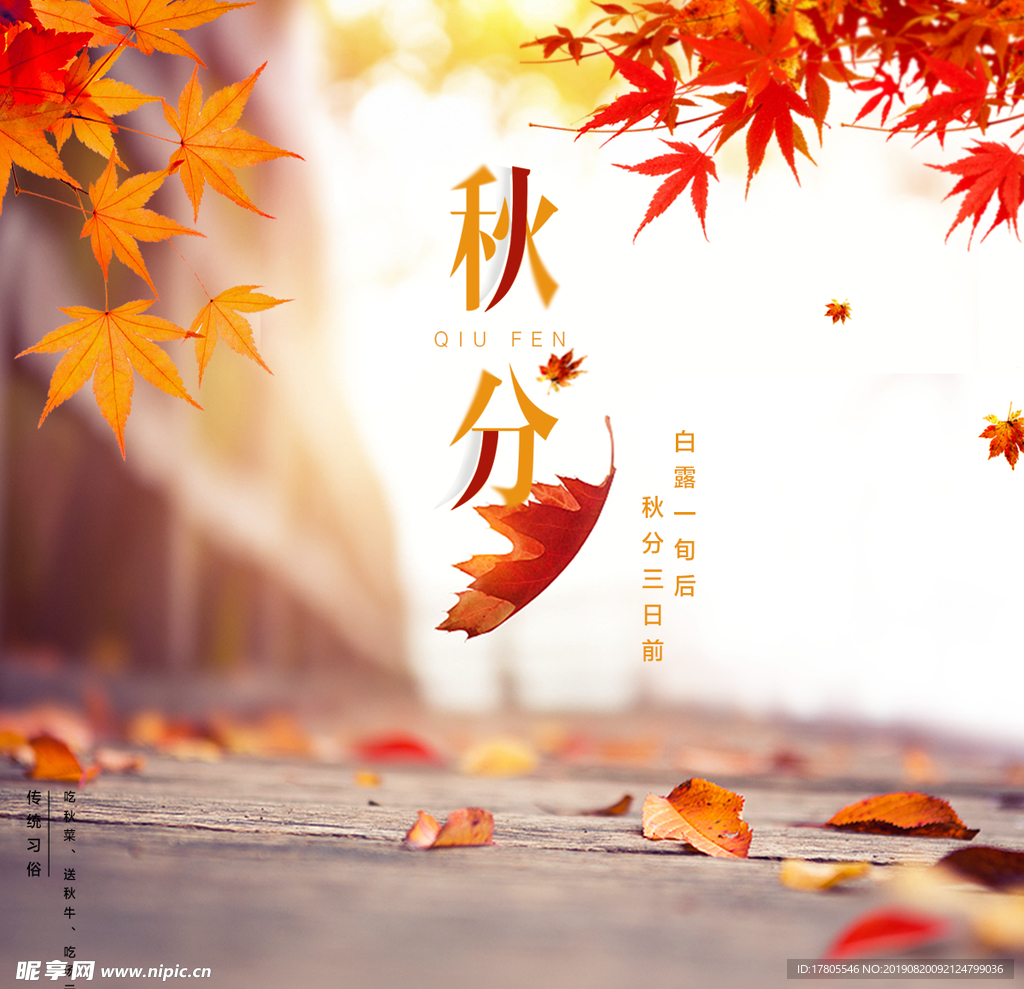 秋分海报 秋分素材 秋分节气